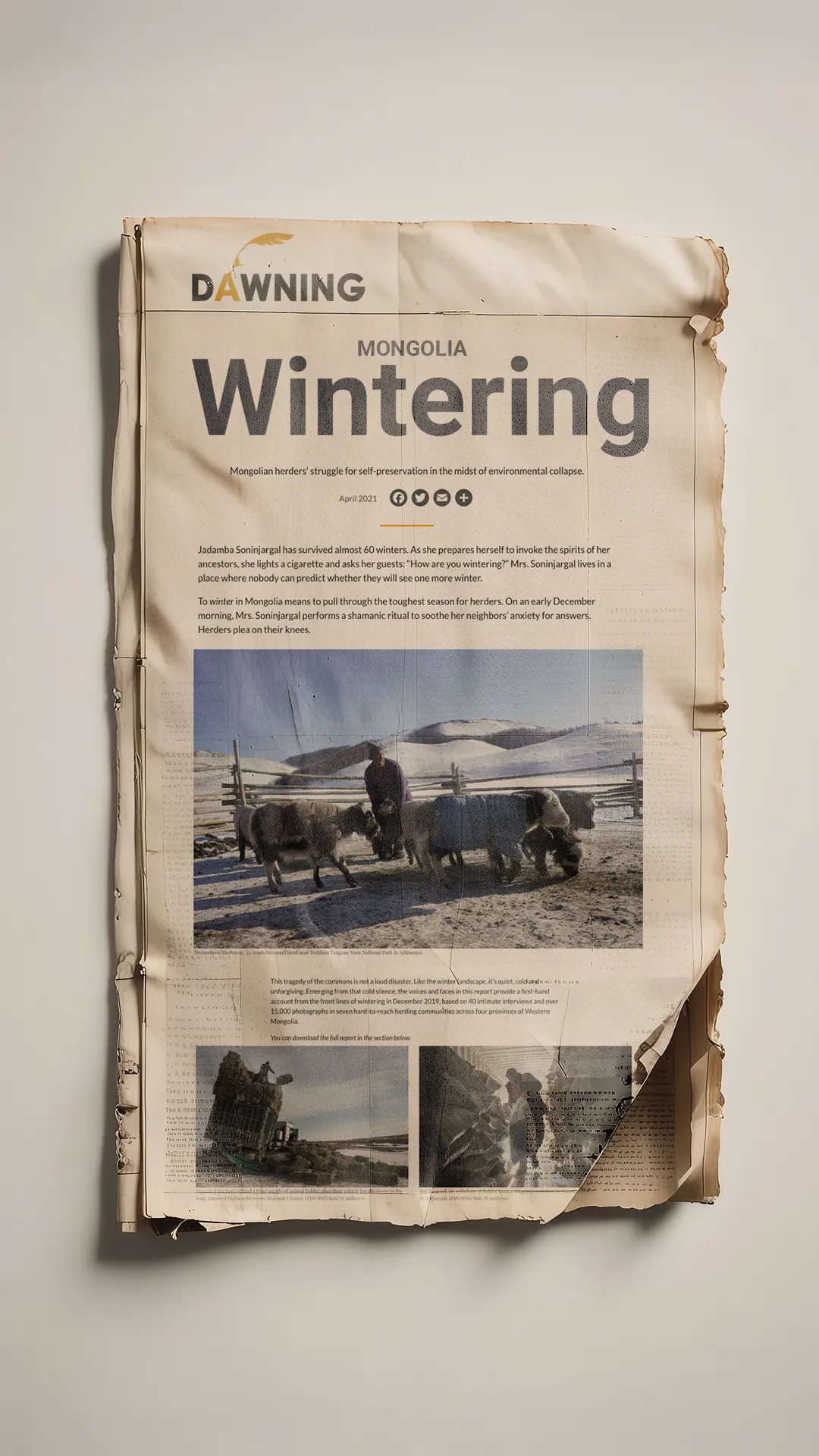 Diseño de identidad visual y branding para Dawning, por Bassali.