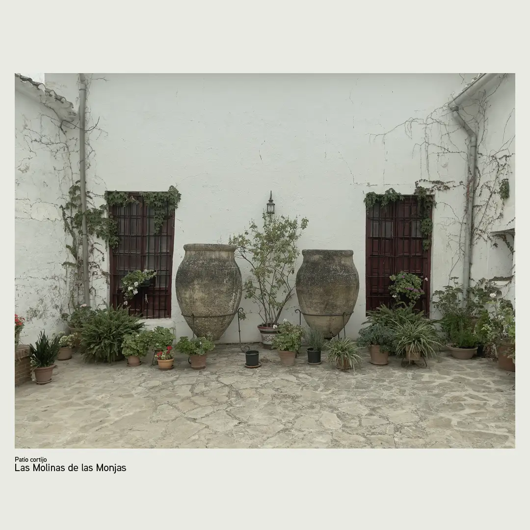 06_molina_monjas_packaging