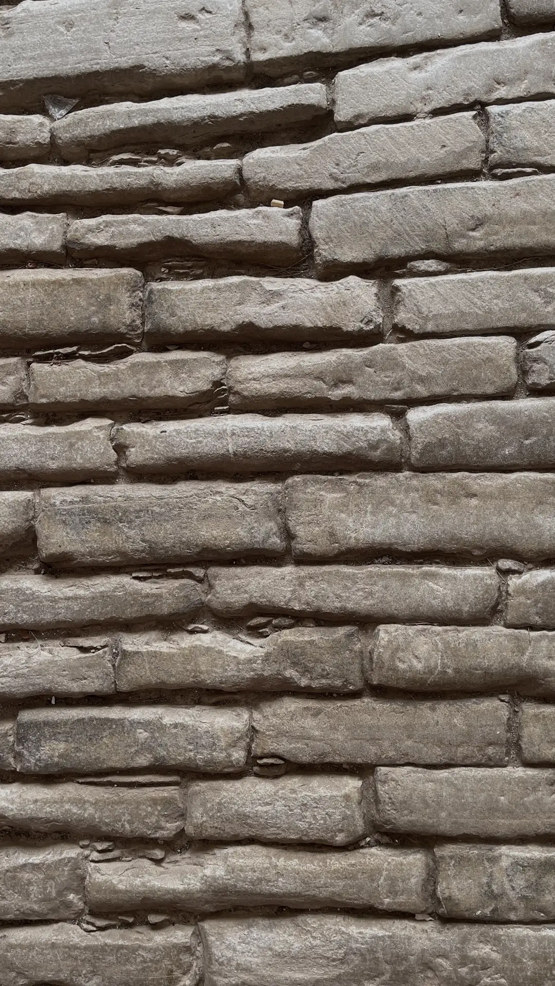 12_molina_monjas_packaging