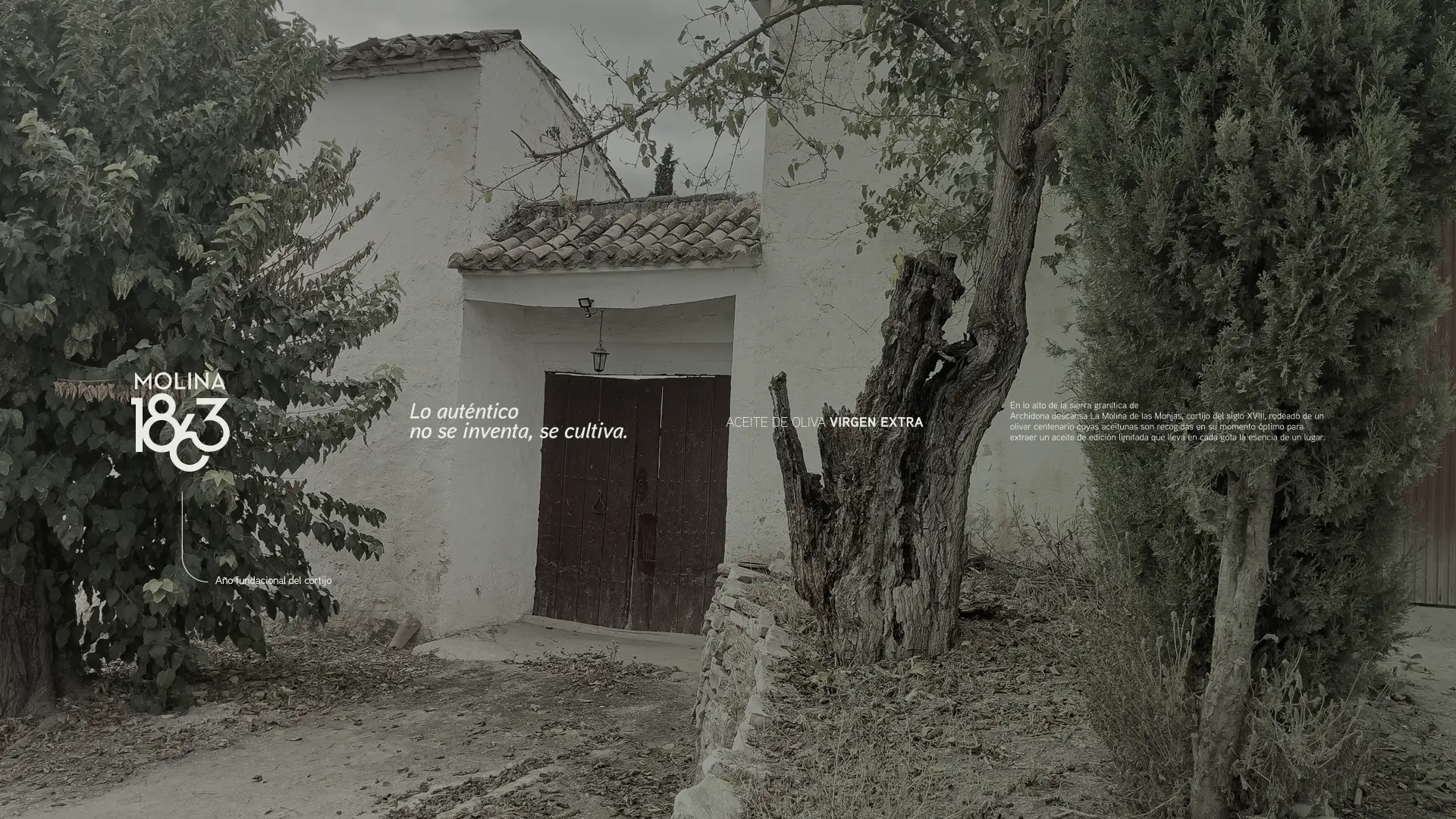 15_molina_monjas_packaging