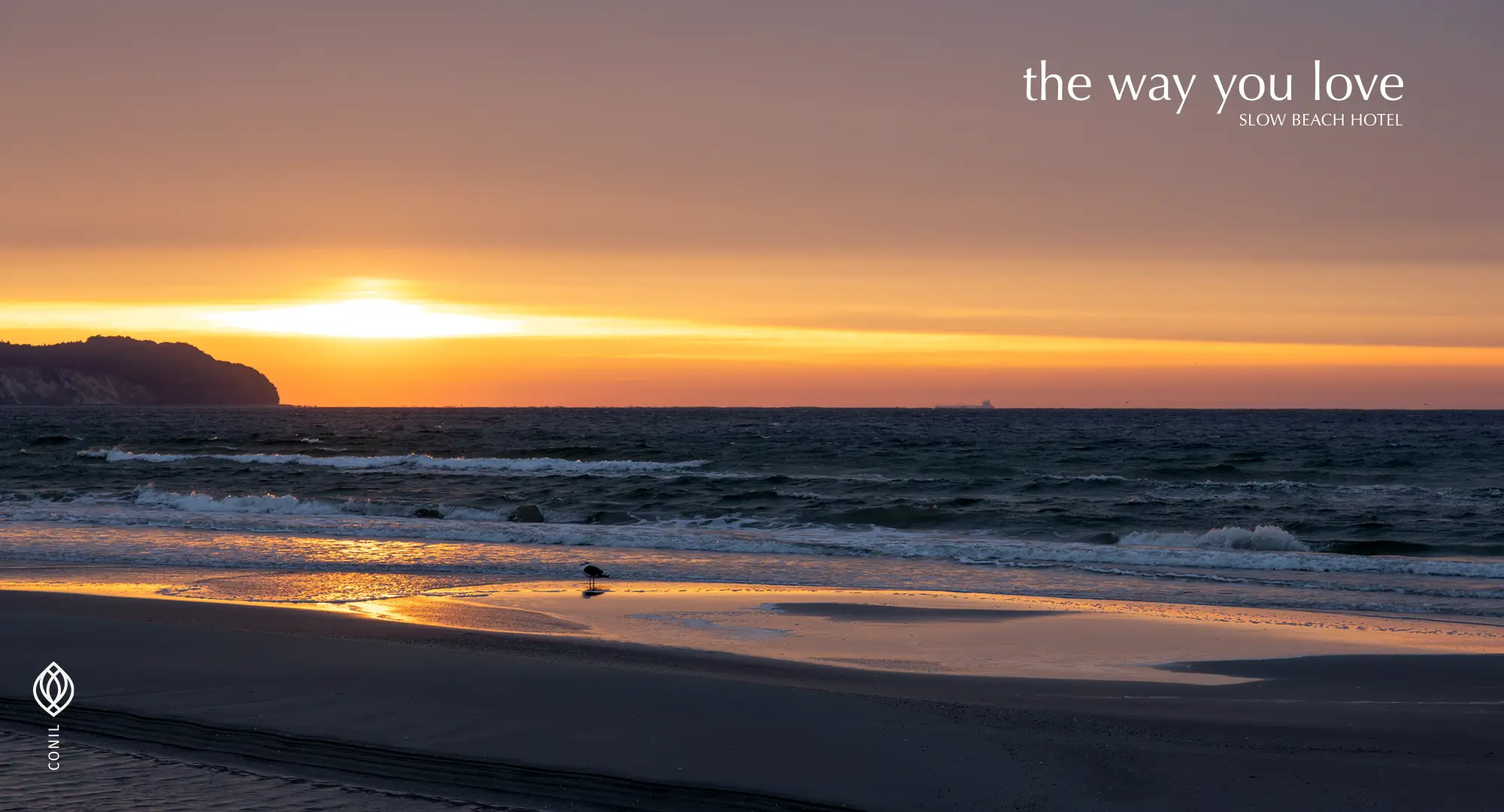 Diseño de imagen corportiva para Daia Slow Beach Hotel, branding y sistema visual por Bassali.