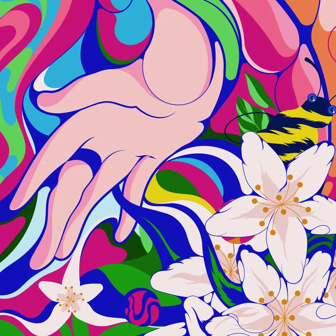 Diseño de packaging para Pink Lady, ilustración y gráfica por Bassali.