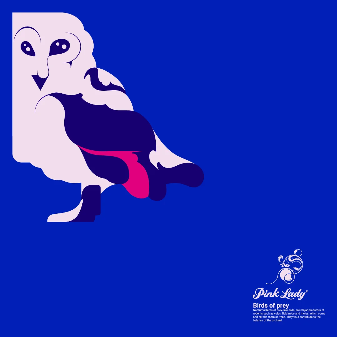 Diseño de packaging para Pink Lady, ilustración y gráfica por Bassali.